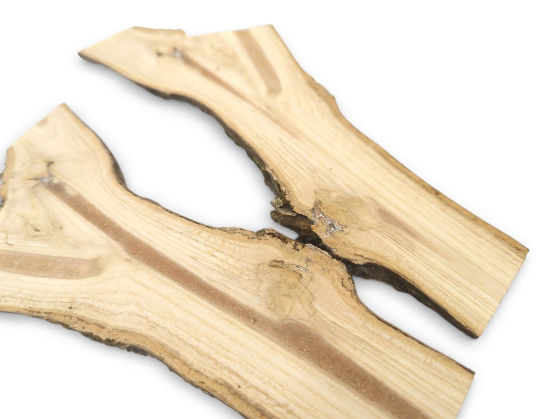 An angled view of two split branch pieces with raw bark edges and a dark central pith.
