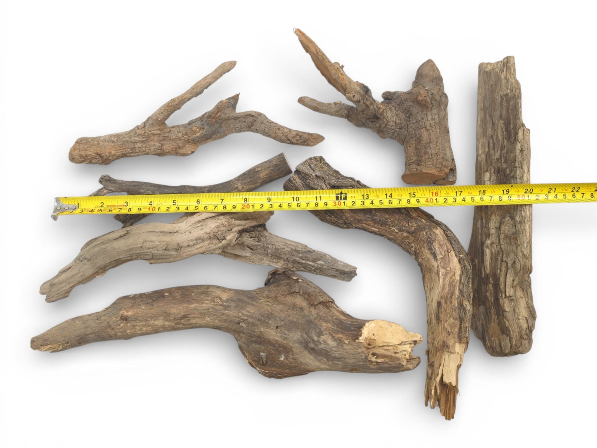 An assortment of irregularly shaped, weathered wood branches laid out with a tape measure indicating scale.