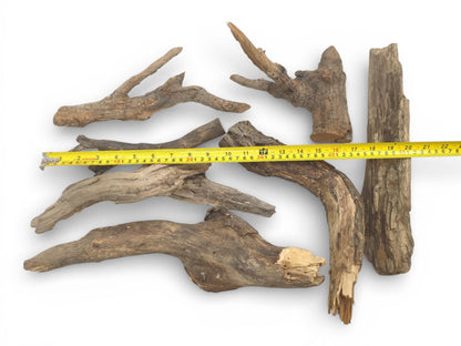 An assortment of irregularly shaped, weathered wood branches laid out with a tape measure indicating scale.