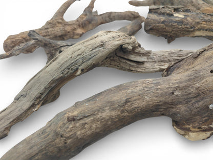 An angled perspective of overlapping, dried tree limbs reveals their intricate, rugged surfaces and varied forms.