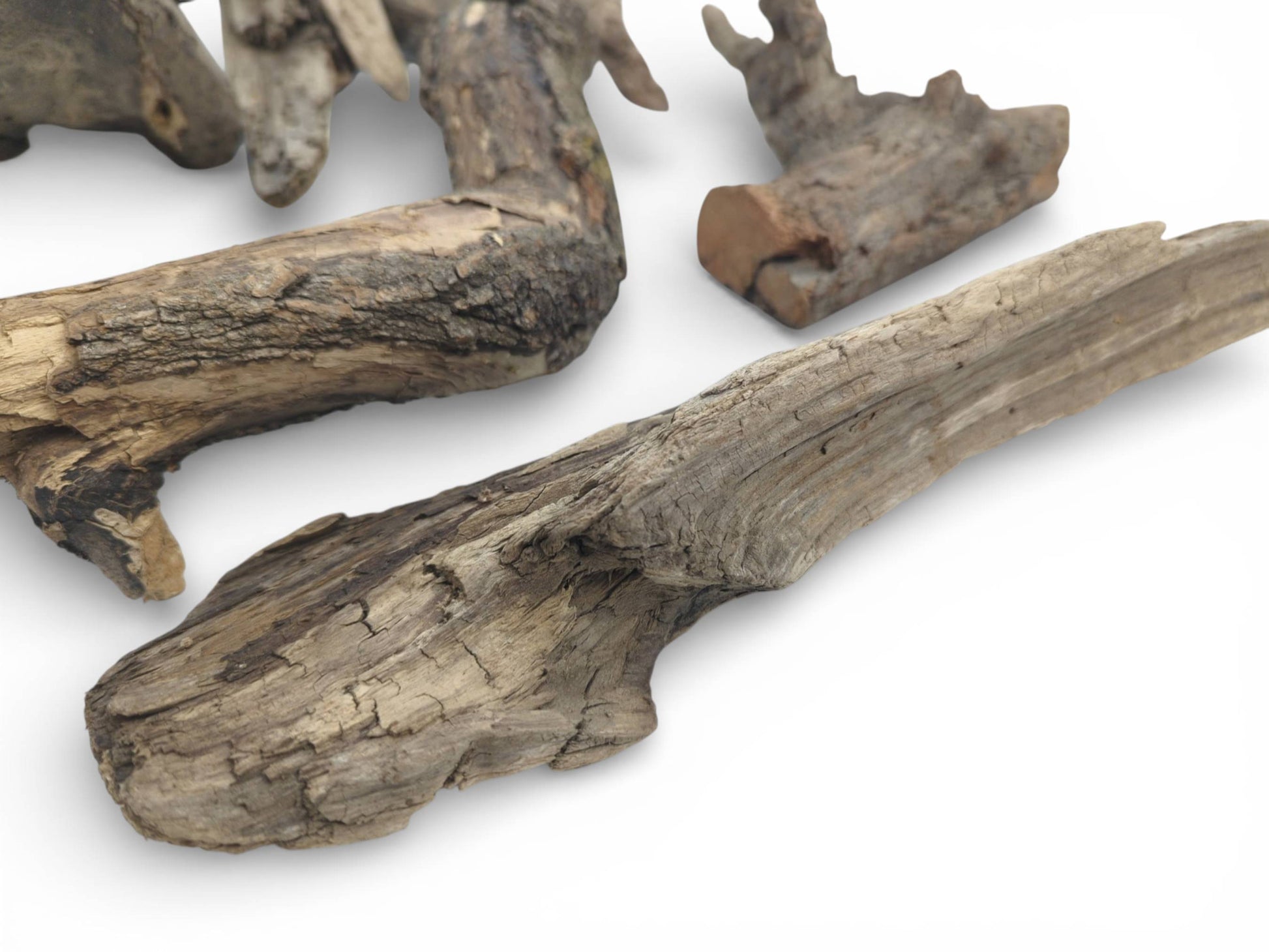 Several pieces of rough, unrefined wood with visible cracks and grain against a plain white surface.