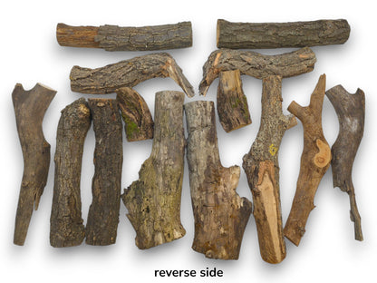 The reverse, bark-covered sides of various split forest branches laid out on a white surface.