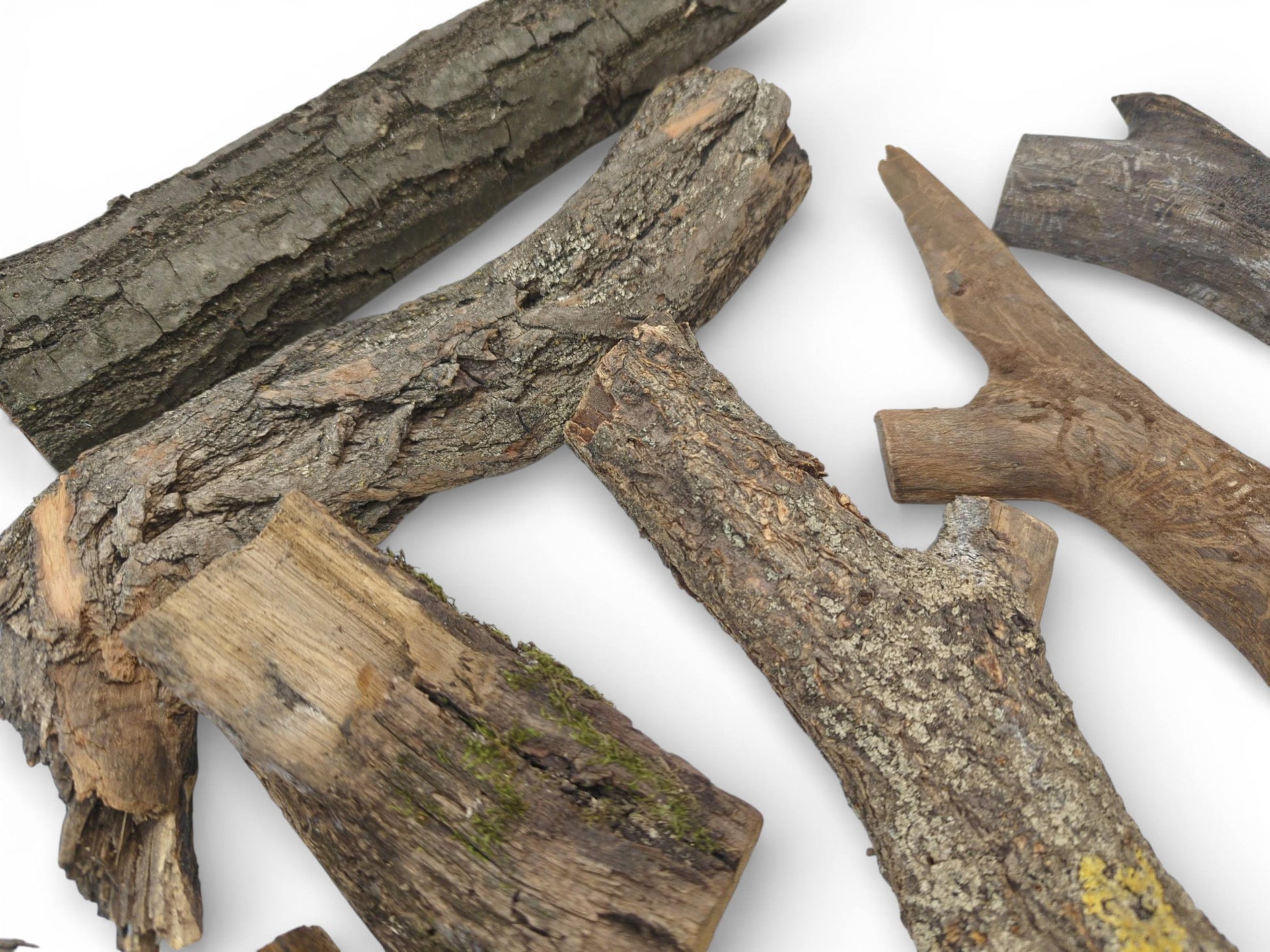 An array of halved wood limbs displaying diverse, coarse bark textures, some with visible lichen.
