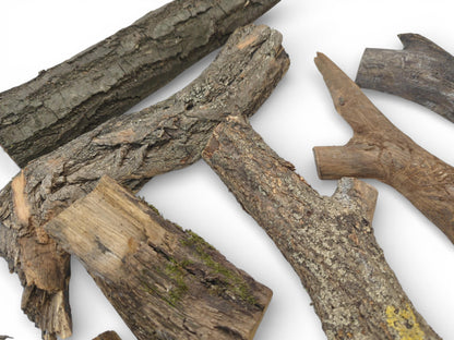 An array of halved wood limbs displaying diverse, coarse bark textures, some with visible lichen.