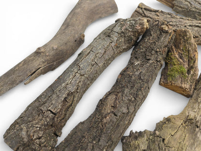 A scatter of halved timber branches reveals contrasting bark surfaces, including one with green moss.