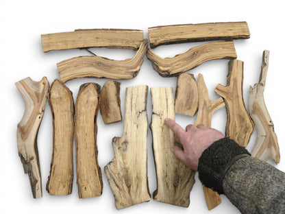 A selection of halved wood branches laid out, with a hand pointing to one piece's grain.