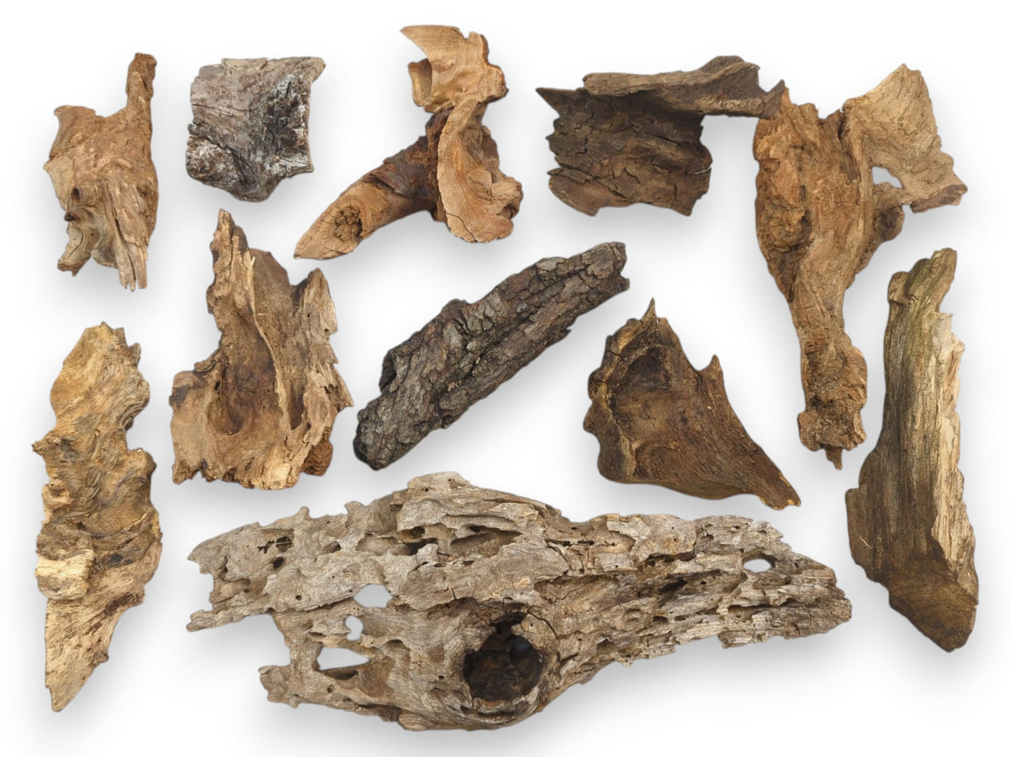 Overhead view of an assortment of small, weathered driftwood pieces showing diverse organic shapes and textures.