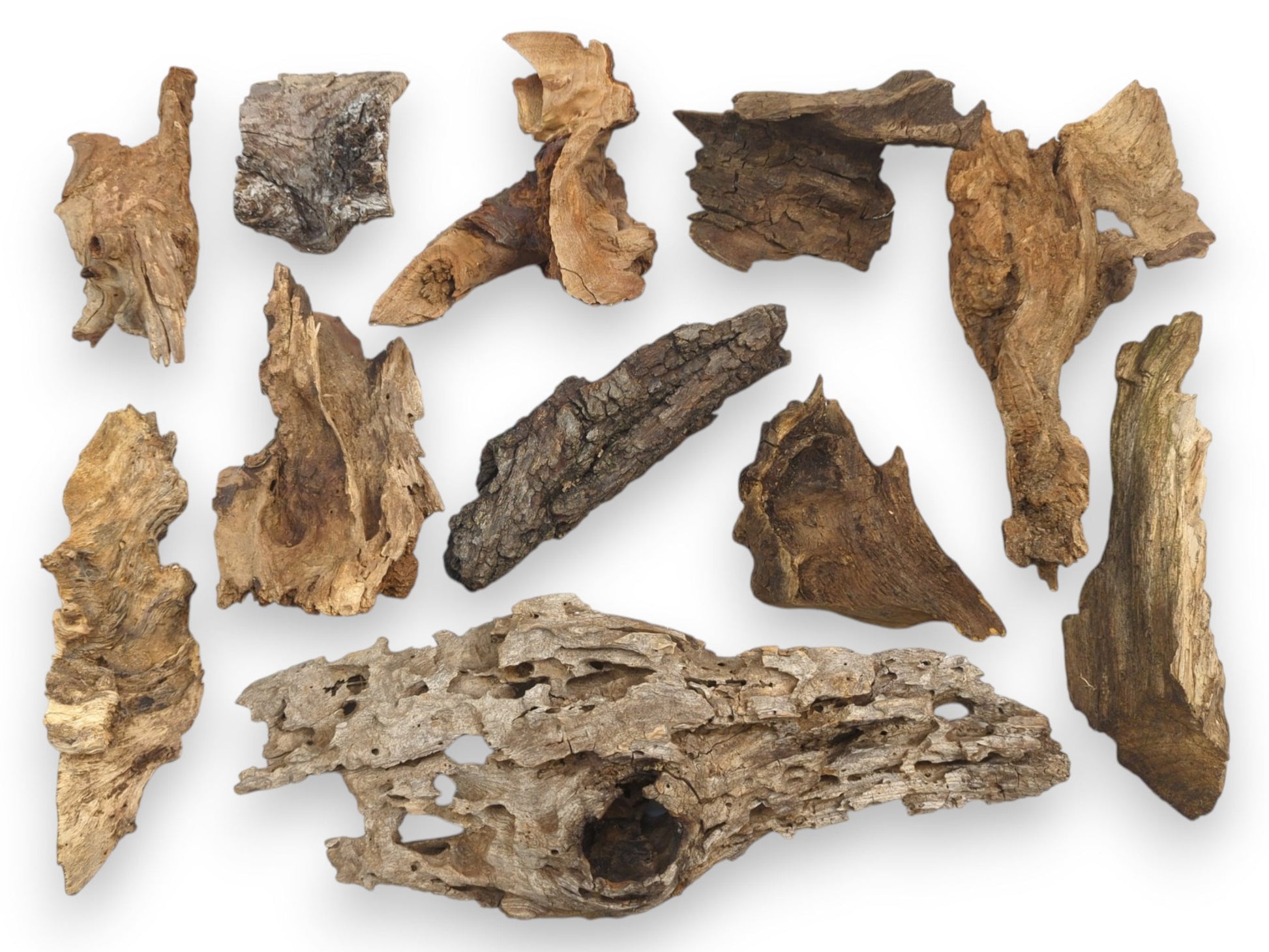 Overhead view of an assortment of small, weathered driftwood pieces showing diverse organic shapes and textures.