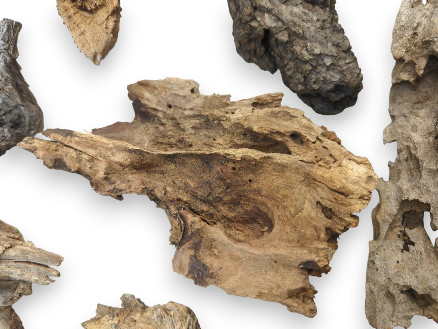 An arrangement of various driftwood pieces centered on a light brown chunk with swirling grain patterns.