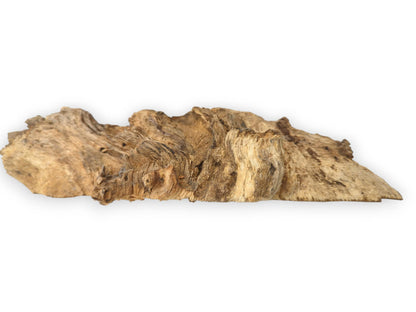 A profile view of a single driftwood fragment, featuring a layered and heavily grooved wood grain.