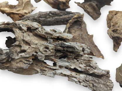 A collection of aged driftwood pieces with a close-up on one's porous, hole-filled surface.