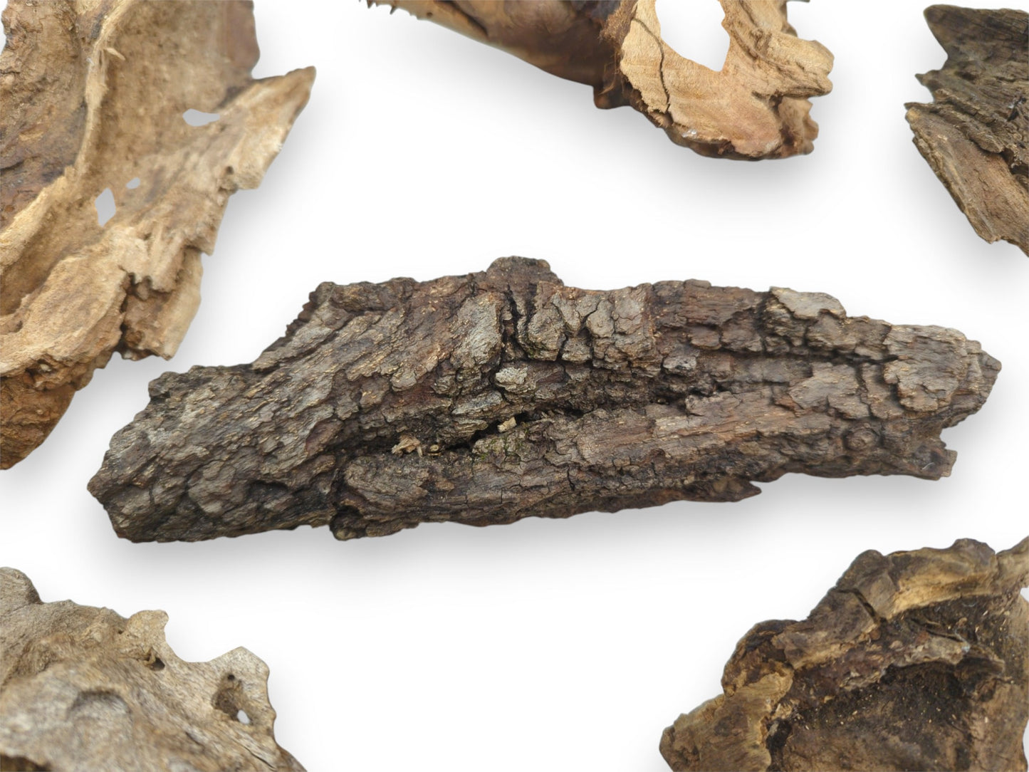 A central piece of dark, bark-covered driftwood surrounded by lighter, smoother fragments on a white background.