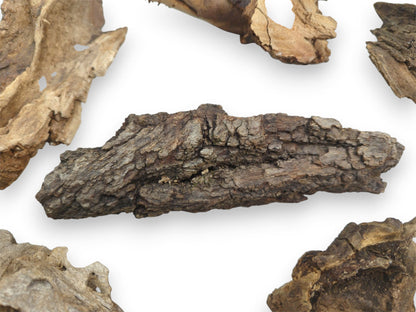 A central piece of dark, bark-covered driftwood surrounded by lighter, smoother fragments on a white background.