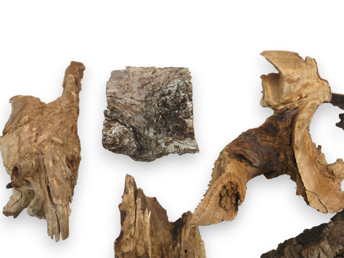A composition of variously shaped wood segments, from a twisted light brown piece to a fissured gray chunk.