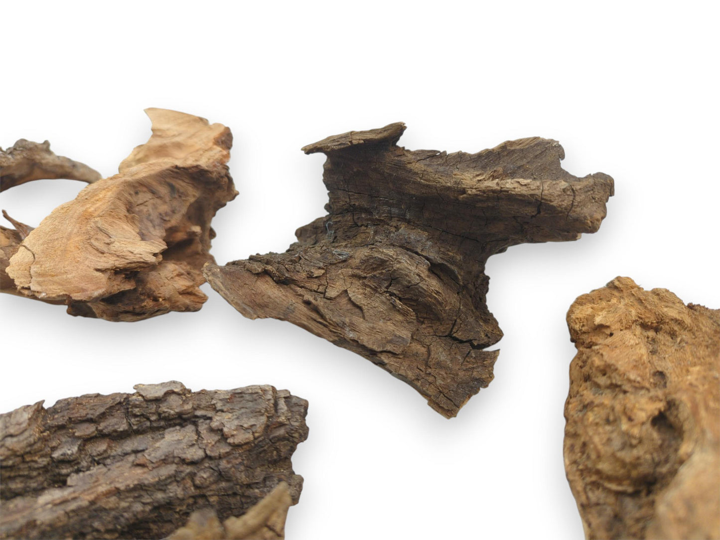Several weathered wood fragments displaying a mix of splintered light tan and cracked dark brown textures.