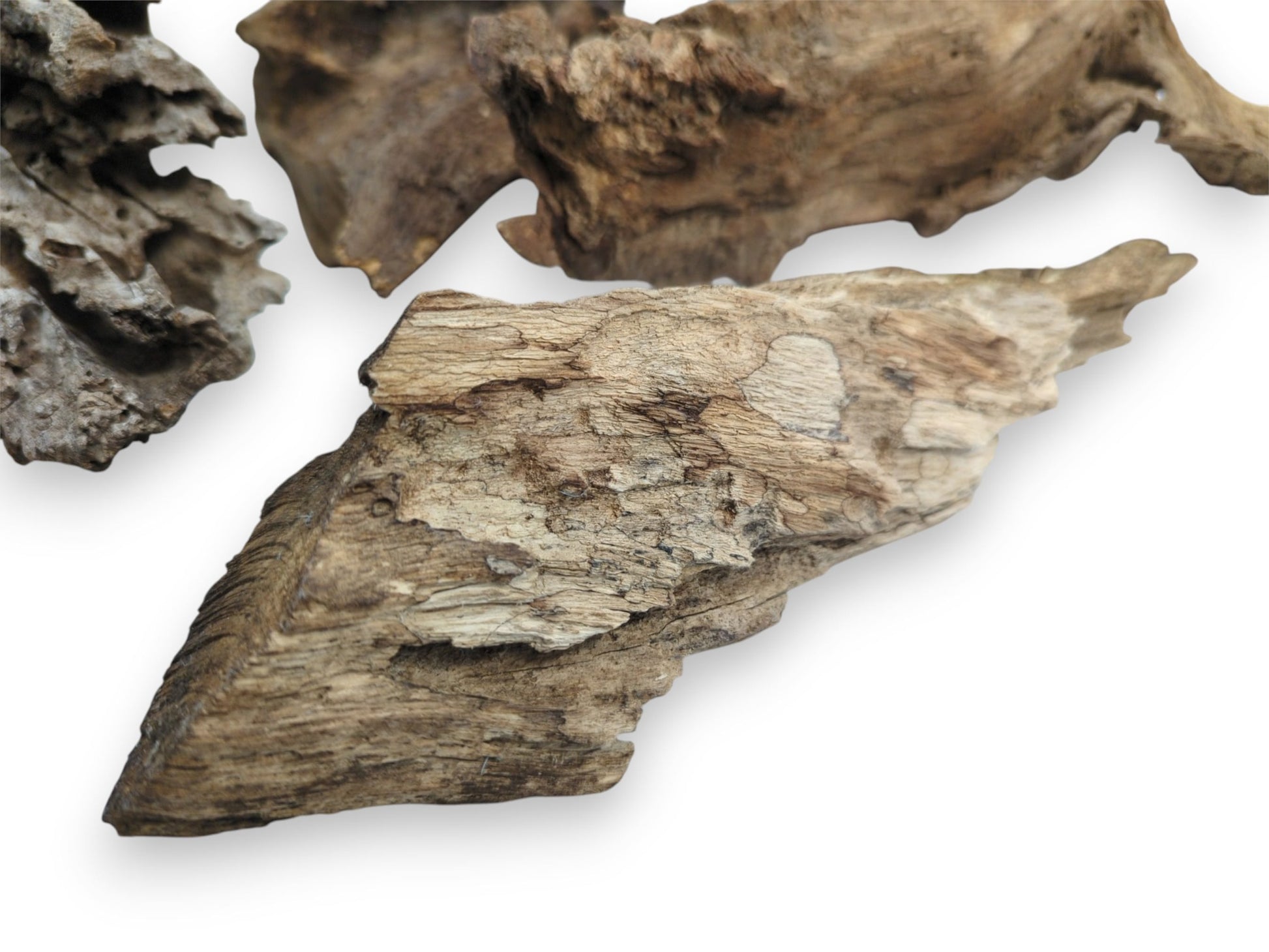 A pale, fibrous section of wood with a shredded texture lies before darker, gnarled pieces.