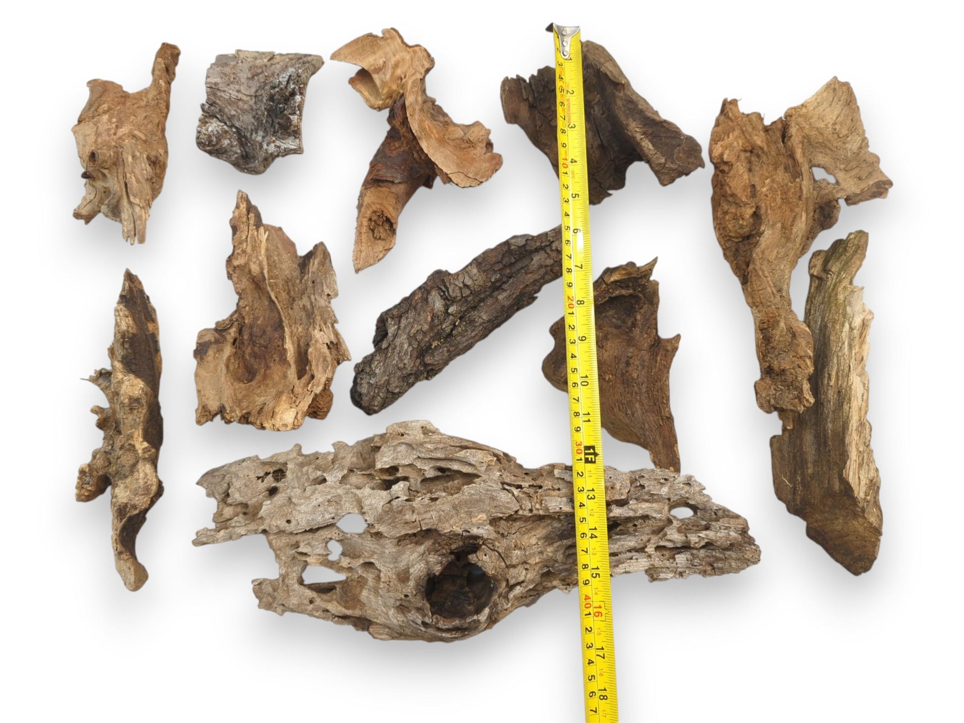An overhead view of a dozen weathered wood pieces placed alongside a yellow ruler for size reference.