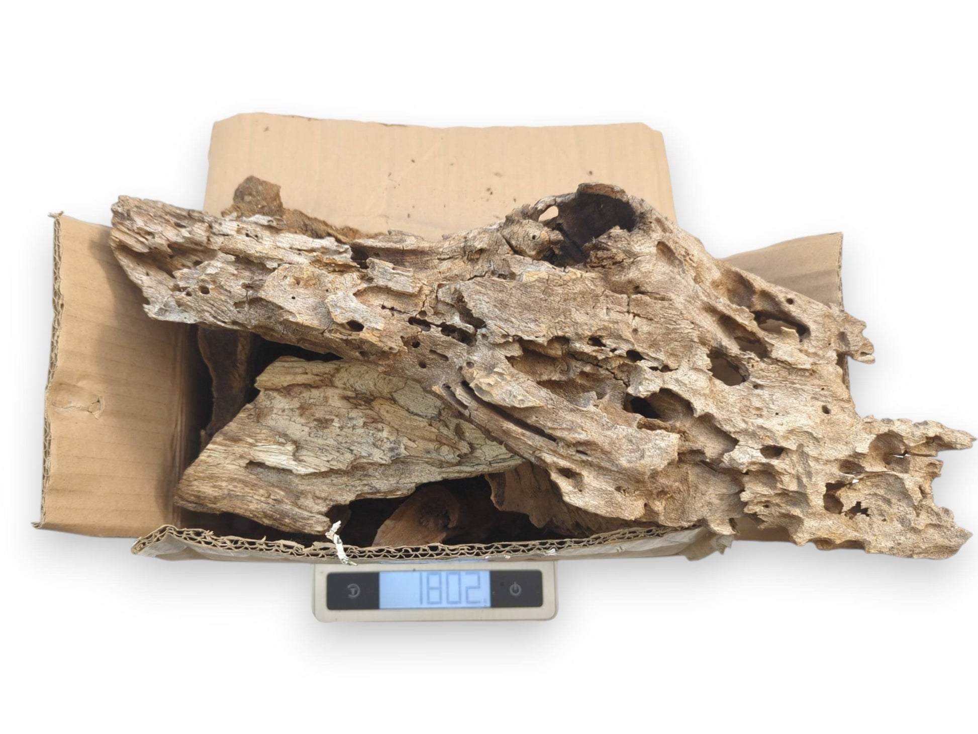 A collection of porous wood pieces inside a cardboard box being weighed on a digital scale.