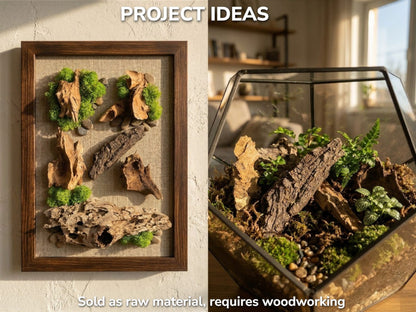 Split-screen image with text showing driftwood arranged in a picture frame and a glass terrarium.