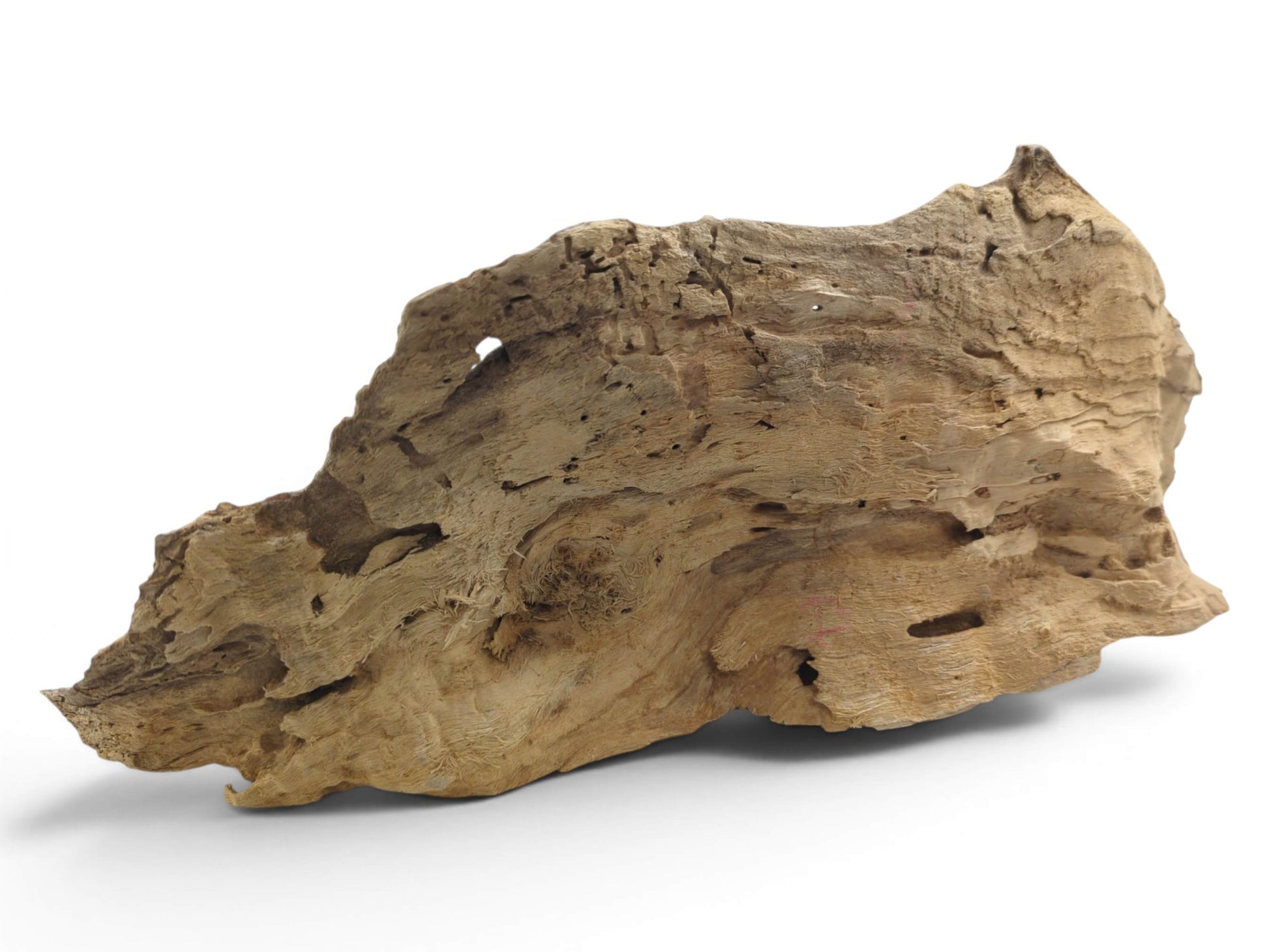A light brown, naturally shaped driftwood piece with a rough, textured surface and organic edges.