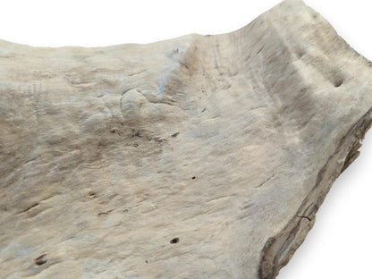Close-up of a light-colored driftwood piece with a textured, organic surface and prominent knots.