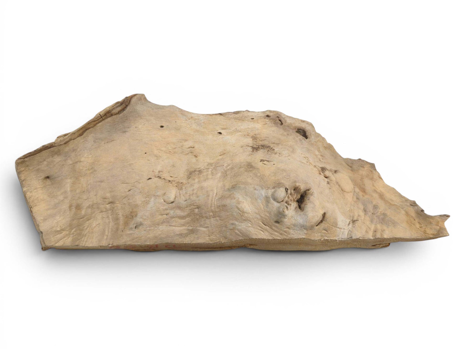 A light brown, naturally shaped driftwood piece with a smooth surface and organic edges.