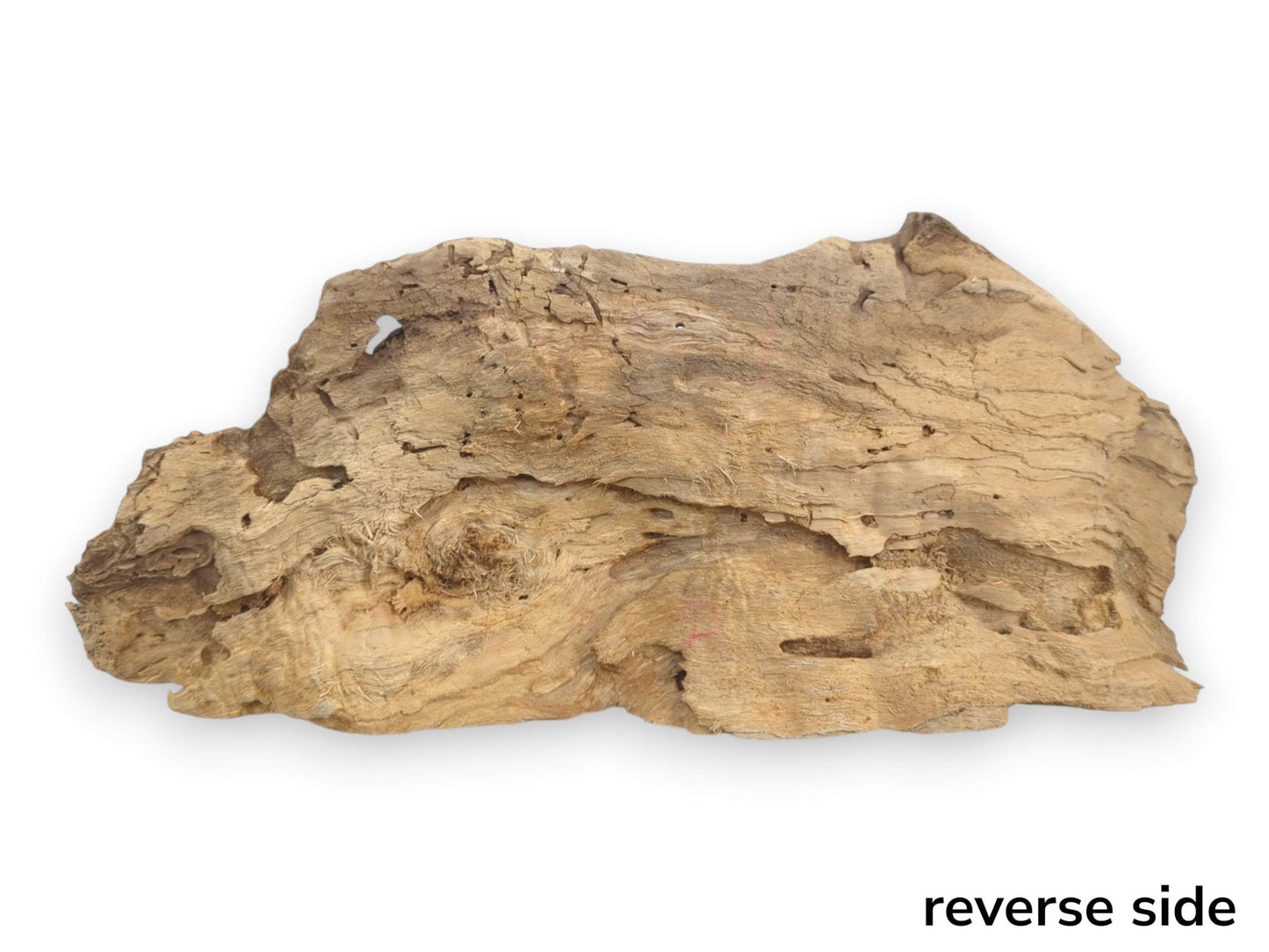A light brown, naturally shaped driftwood piece with a rough, textured surface and organic edges.