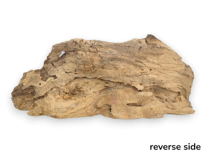 A light brown, naturally shaped driftwood piece with a rough, textured surface and organic edges.