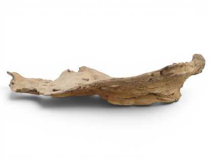 A long, light brown driftwood piece with an organic, wavy shape and rough texture.