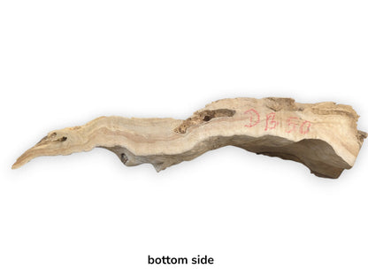A light brown, naturally shaped driftwood piece with a smooth surface and organic edges.