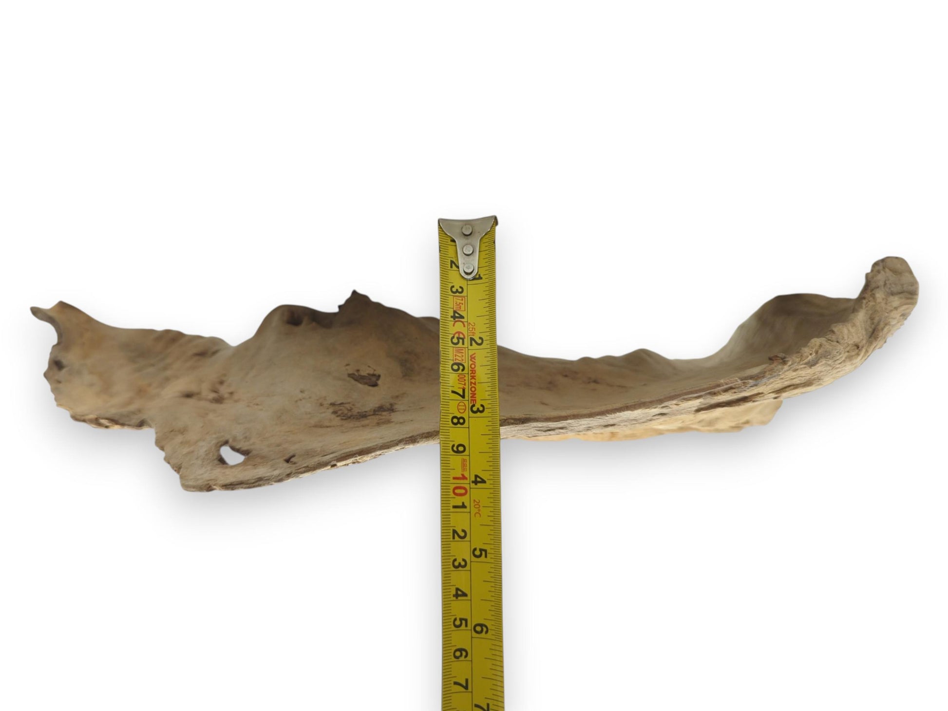 A light brown, organically shaped driftwood piece with a rough texture, natural holes, and a measuring tape.