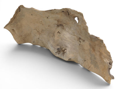 A light brown, naturally shaped driftwood piece with a hole and rough edges.