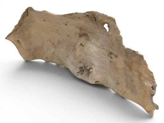 A light brown, naturally shaped driftwood piece with a hole and rough edges.