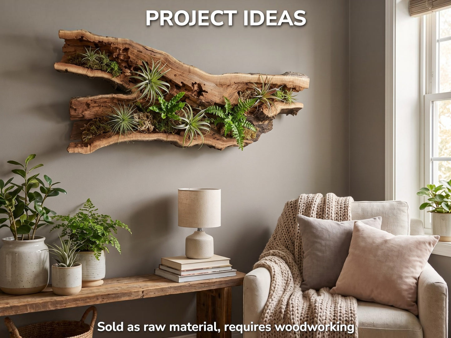 Rustic Hollow Tree Trunk Wood, Natural Live Edge Piece, Unique Craft Material, Home Decor, Wall Art #051
