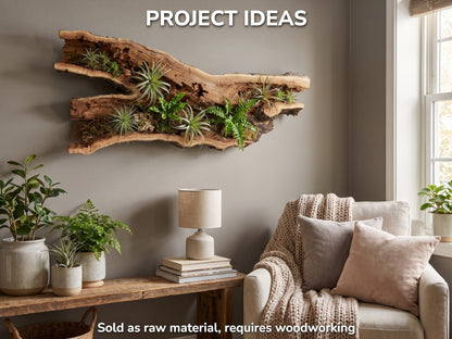 Rustic Hollow Tree Trunk Wood, Natural Live Edge Piece, Unique Craft Material, Home Decor, Wall Art #051