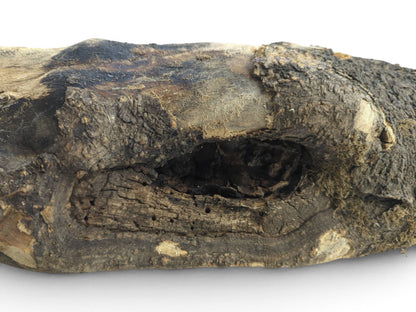 A rustic hollow tree trunk wood piece with a dark, rough exterior and a deep, dark hole.
