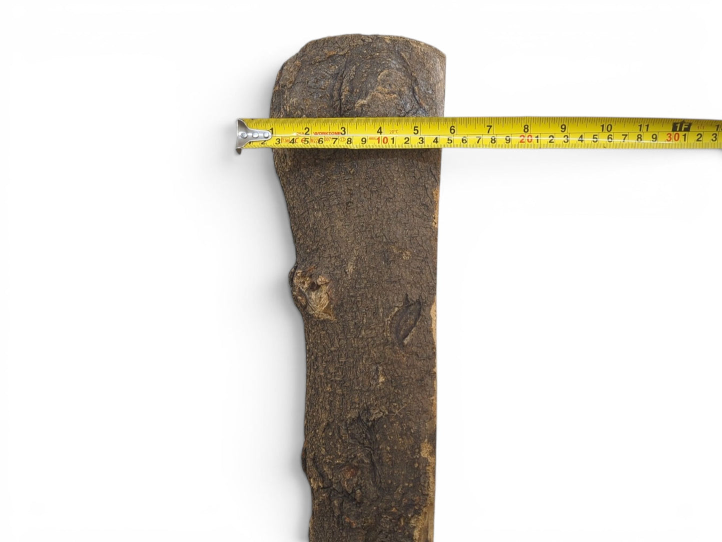 A rustic hollow tree trunk wood piece with dark, textured bark and a natural live edge.