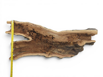 A long, hollow, rustic tree trunk wood piece with a natural live edge and rough texture.