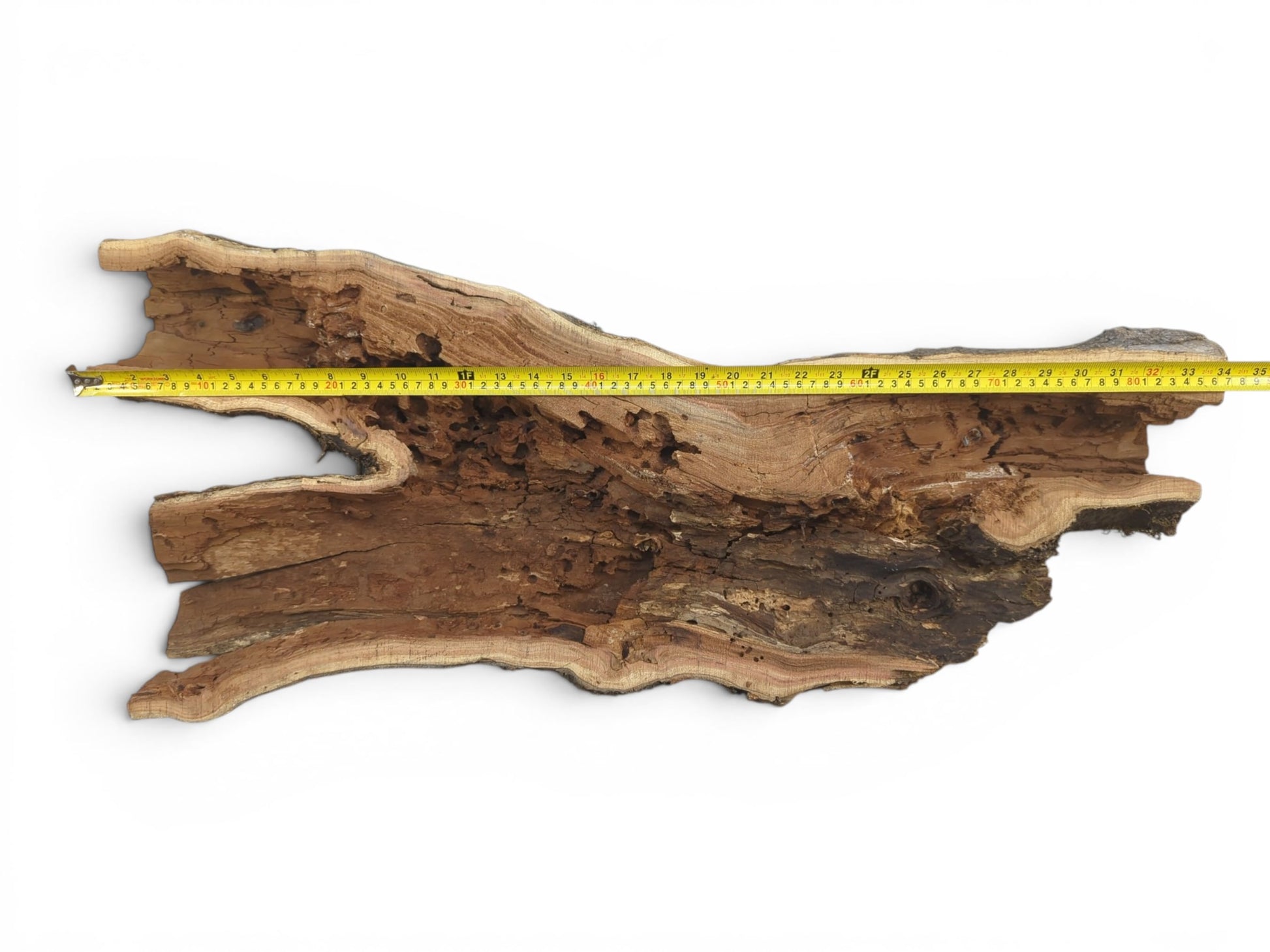 A long, hollow, rustic tree trunk wood piece with a natural live edge and rough texture.