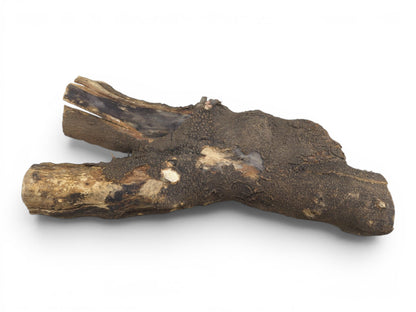 A rustic hollow tree trunk wood piece with dark, textured bark and exposed light wood.