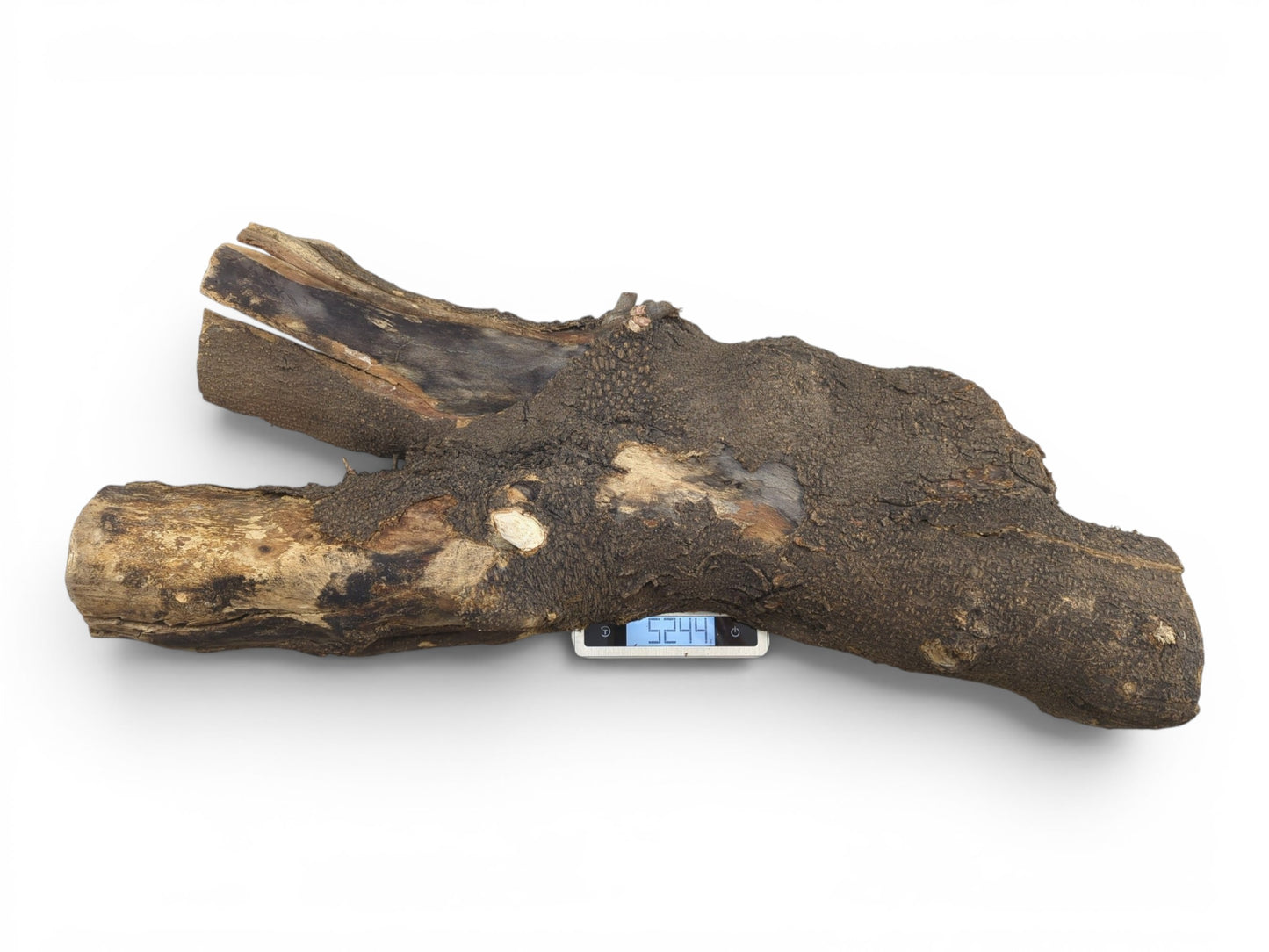 A long, dark, rustic hollow tree trunk wood piece with a rough, textured bark.