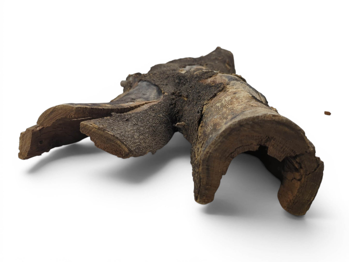 A rustic hollow tree trunk wood piece with dark, textured bark and exposed light wood.