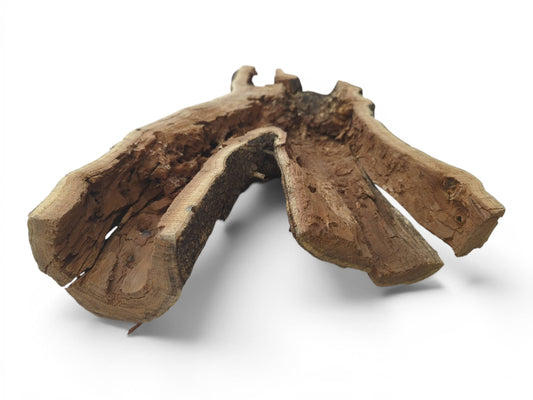 A hollow, rustic tree trunk piece with natural live edges and visible wood grain.