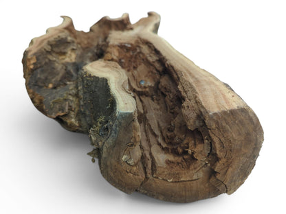 A hollow, rustic tree trunk wood piece with a rough, dark exterior and light interior.