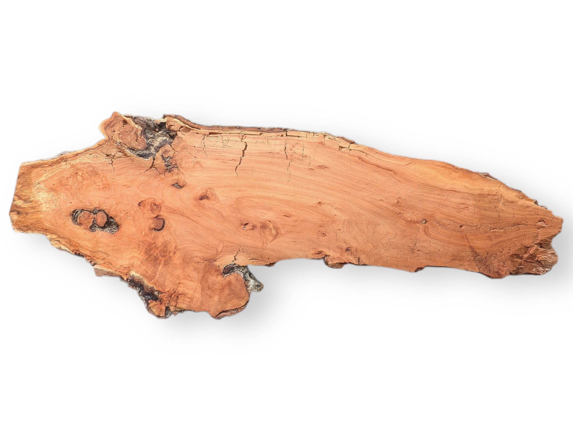 Elongated, irregularly shaped weeping willow slab showing reddish-brown wood, visible grain, abundant cracks, and dark decay.