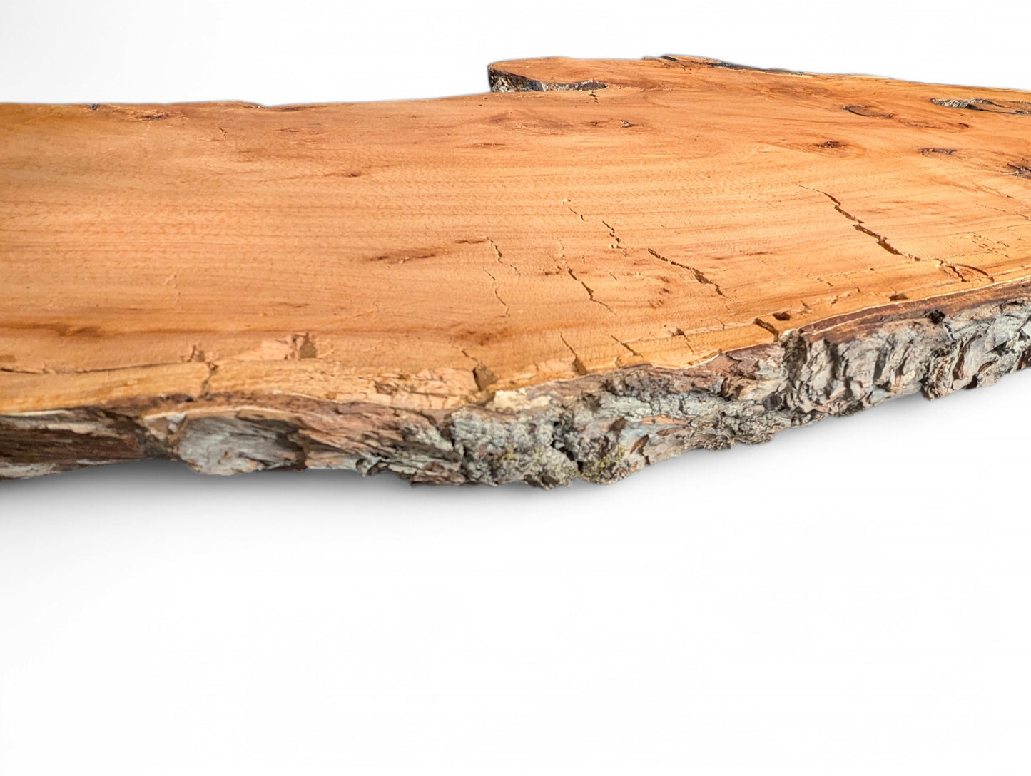 Angled view of an irregular reddish-brown willow wood slab showing natural bark edges and surface cracks.