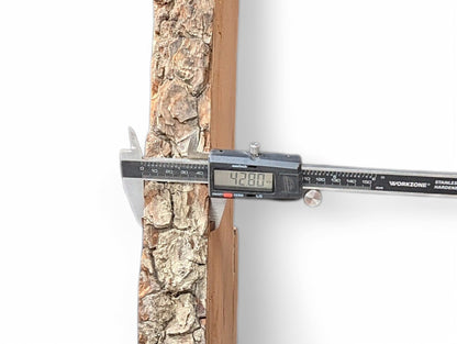 Displaying 42.80mm, a digital caliper measures the thick, textured bark edge of a willow wood slab.