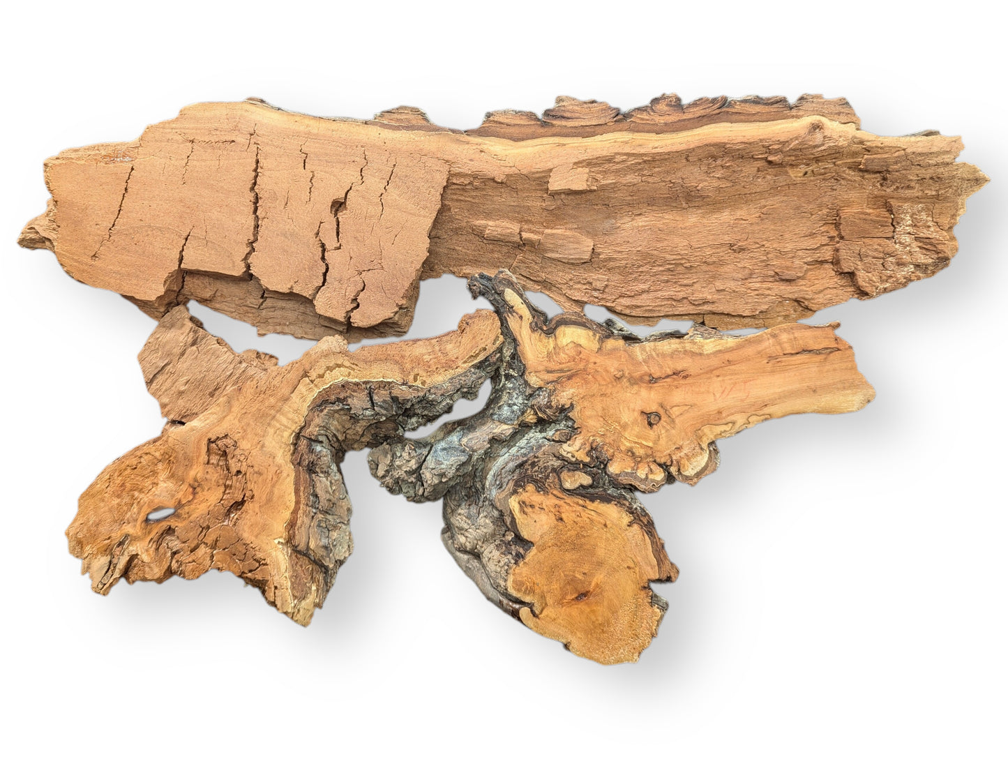 Two irregular weeping willow wood pieces, light brown with dark grain, show natural bark and decay-like textures.