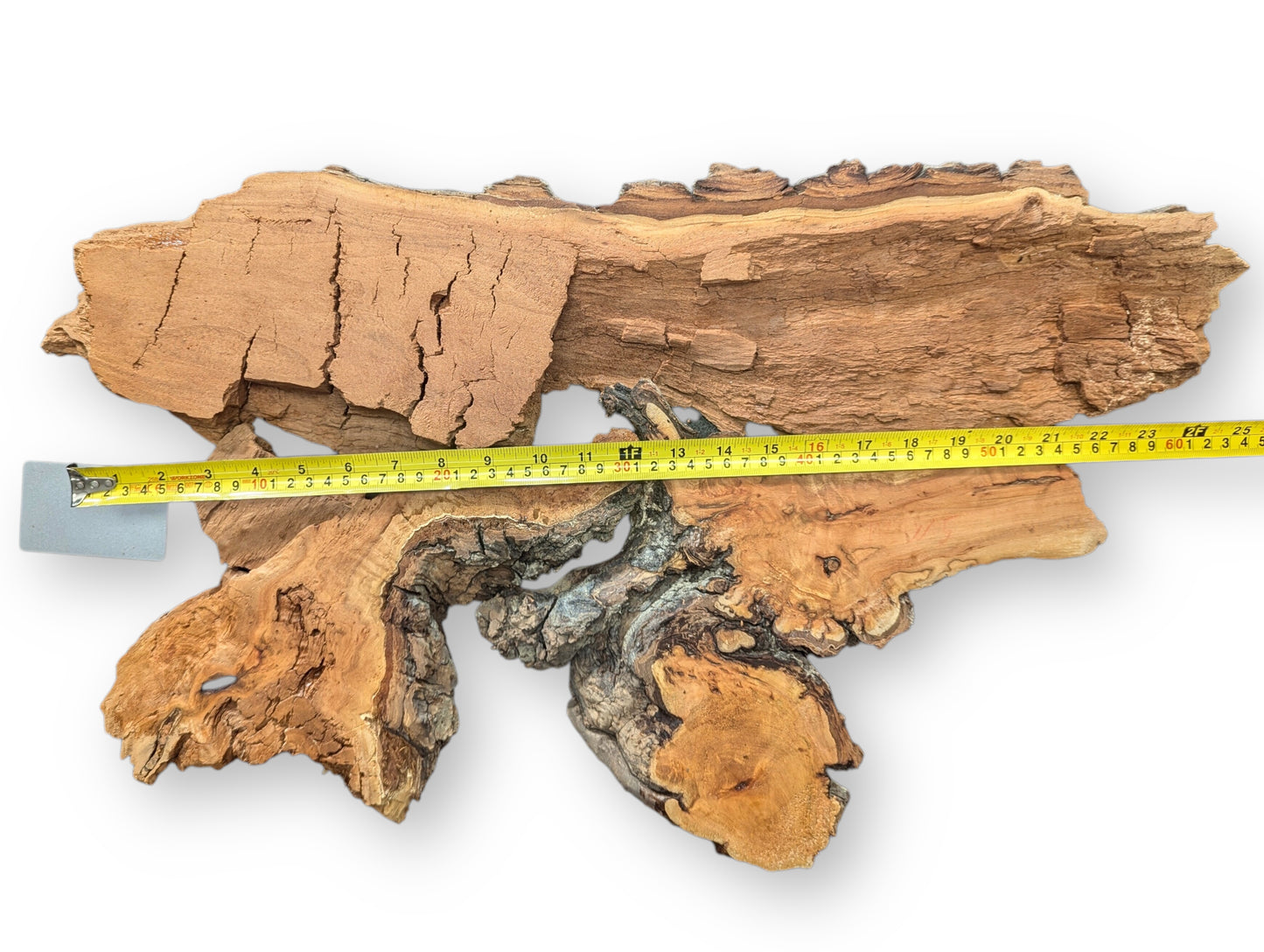 Rough, irregular weeping willow wood slice, light brown and dark textured, measured by a yellow tape.