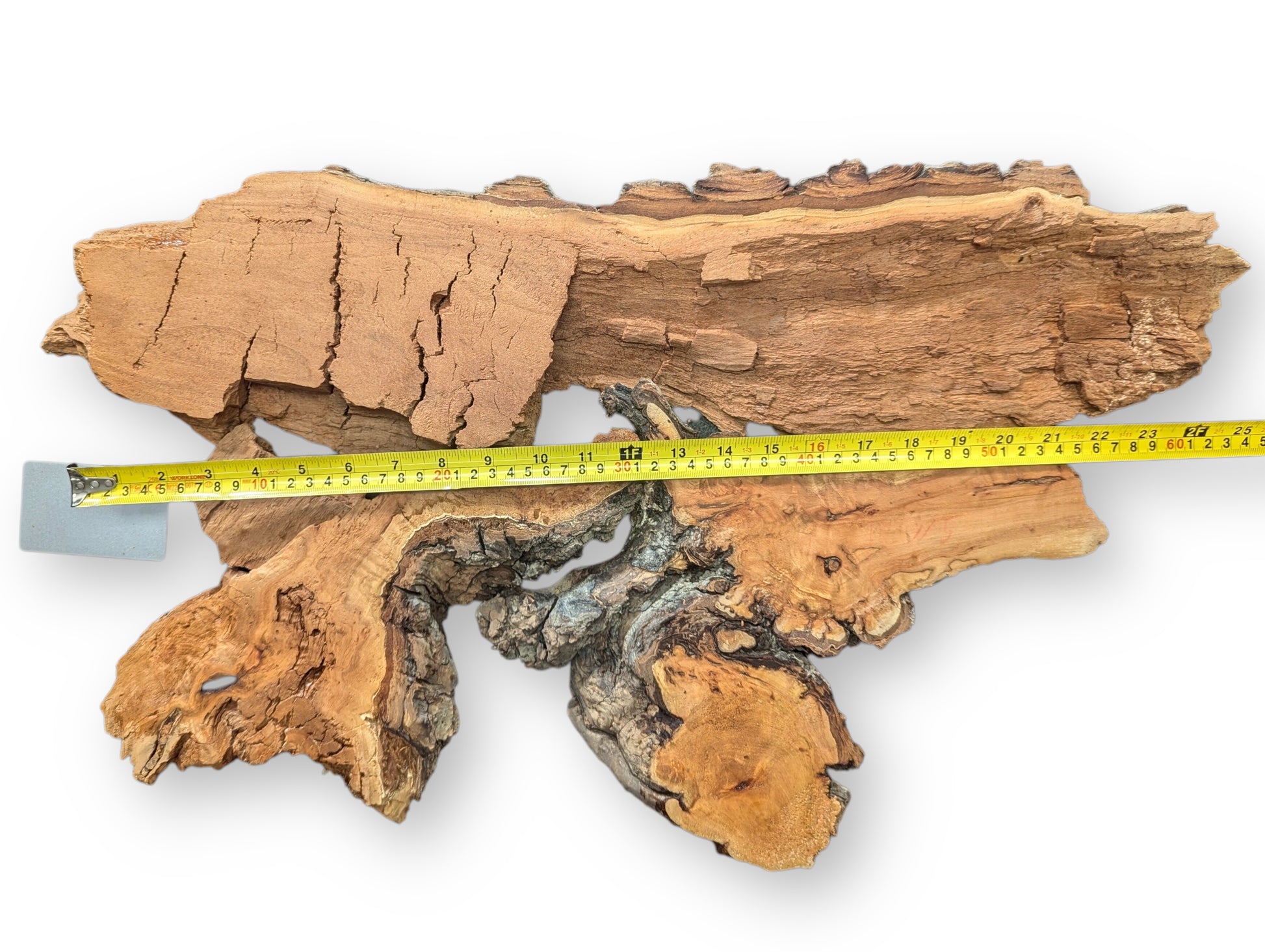 Rough, irregular weeping willow wood slice, light brown and dark textured, measured by a yellow tape.